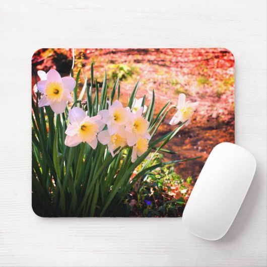 Tapis De Souris Fleurs De Daffodiles Blanches Par Brook (Avec souris)