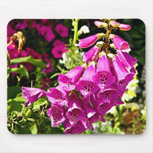 Tapis De Souris Fleurs de digitale rose (Devant)