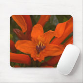 Tapis De Souris Fleurs de grenade (Avec souris)