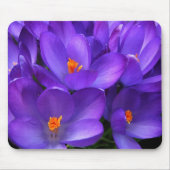 Tapis De Souris Fleurs de jardin de crocus violets mousepad (Devant)
