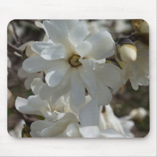 Tapis De Souris Fleurs de Magnolia étoilé