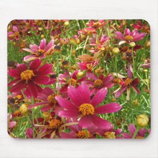 Tapis De Souris Fleurs de marguerite rose et jaune brillantes (Devant)
