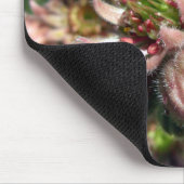 Tapis De Souris Fleurs de poules et de poussins (Sempervivum) (Coin)