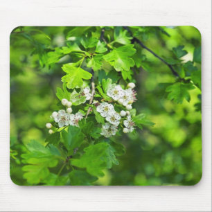 Tapis De Souris fleurs de printemps