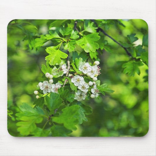 Tapis De Souris fleurs de printemps (Devant)