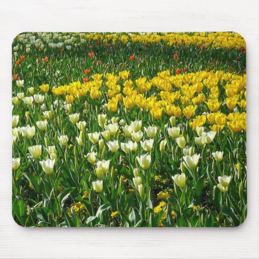 Tapis De Souris Fleurs de printemps (Devant)