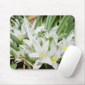 Tapis De Souris Fleurs de printemps (Avec souris)