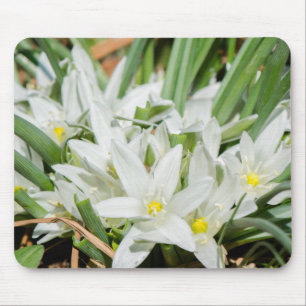 Tapis De Souris Fleurs de printemps
