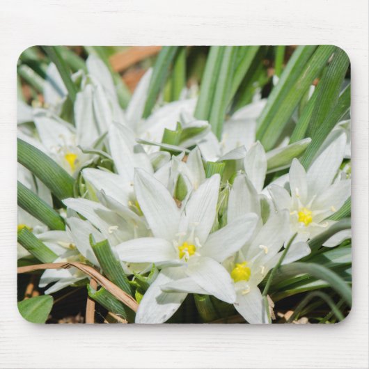 Tapis De Souris Fleurs de printemps (Devant)