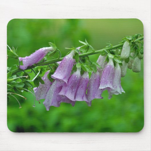 Tapis De Souris Fleurs de renard pourpre (Devant)