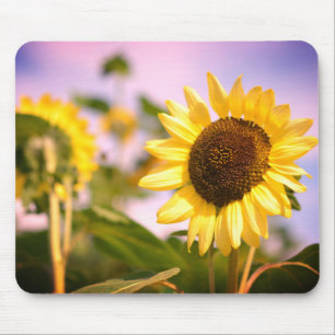 Tapis De Souris Fleurs de soleil au Jardin botanique Wisley RHS