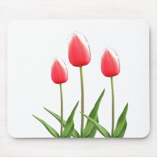 Tapis De Souris Fleurs de tulipe rouge printemps (Devant)