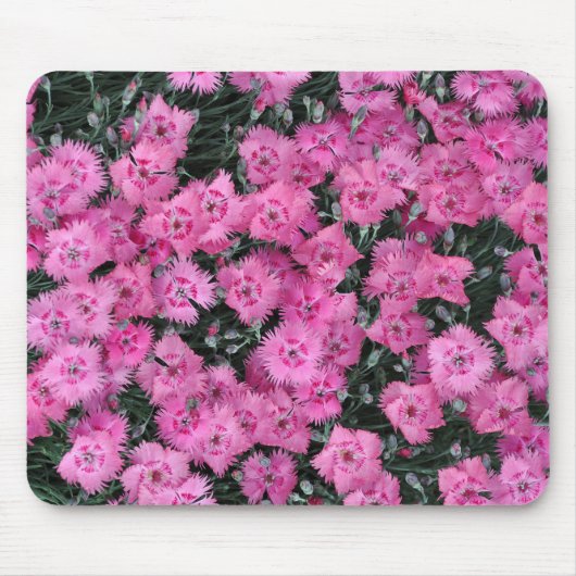 Tapis De Souris Fleurs de willim rose (Devant)