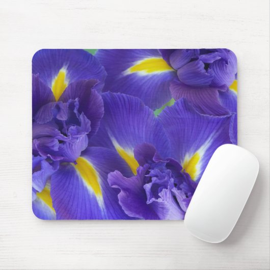 Tapis De Souris Fleurs d'Iris (Avec souris)