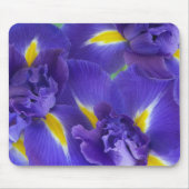 Tapis De Souris Fleurs d'Iris (Devant)