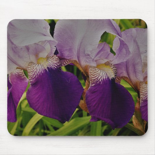 Tapis De Souris Fleurs d'iris violet photo Mousepad (Devant)