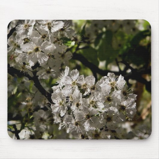 Tapis De Souris Fleurs d'oreilles (Devant)