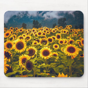 Tapis De Souris Fleurs du paysage du terrain de tournesol Jaune