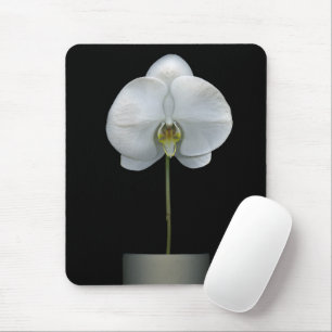 Tapis De Souris Fleurs Fleur d'orchidées blanches