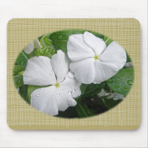 Tapis De Souris Fleurs Impatiens Blanches