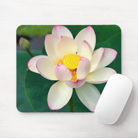 Tapis De Souris Fleurs | Lotus Water Flower (Avec souris)