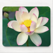 Tapis De Souris Fleurs | Lotus Water Flower (Devant)