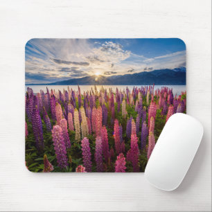 Tapis De Souris Fleurs   Lupines Nouvelle-Zélande