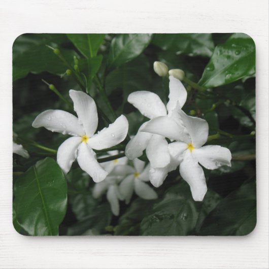 Tapis De Souris Fleurs Mousepad (Devant)