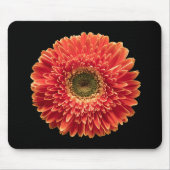 Tapis De Souris Fleurs | Orange Gerbera Daisy (Devant)