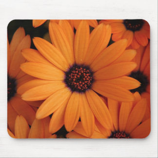 Tapis De Souris Fleurs oranges