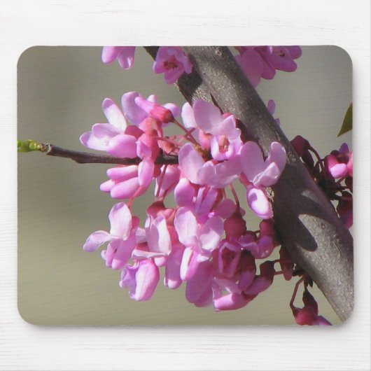 Tapis De Souris Fleurs orientales de Redbud (Devant)