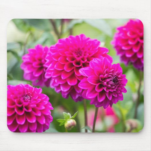 Tapis De Souris Fleurs Pompom Rose Chaud (Devant)