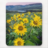 Tapis De Souris Fleurs | Rivière Balsomroot Columbia, Oregon (Devant)