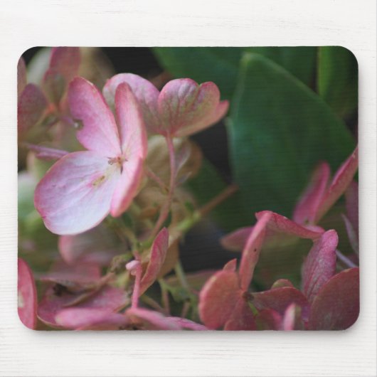 Tapis De Souris Fleurs roses (Devant)