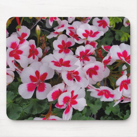 Tapis De Souris Fleurs roses (Devant)