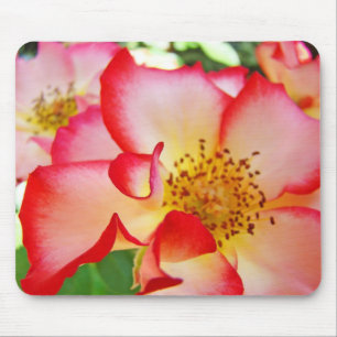Tapis de souris Fleurs Roses Colorées nature