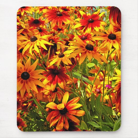 TAPIS DE SOURIS FLEURS RUDBECKIA (Devant)