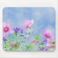 Fleurs sauvages
