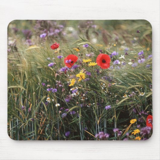 Tapis De Souris Fleurs sauvages (Devant)