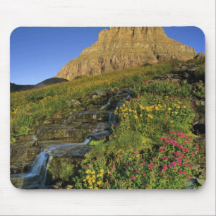Tapis De Souris Fleurs sauvages alpines & Mt Clements à Logan Pass