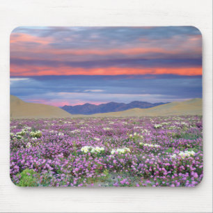 Tapis De Souris Fleurs sauvages de Verveine des sables et de Prime
