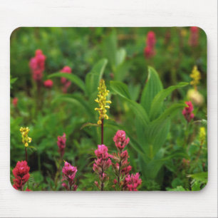 Tapis De Souris Fleurs sauvages d'été envoyant une explosion de co