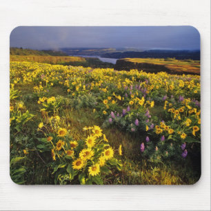 Tapis De Souris Fleurs sauvages printanières en abondance au Tom