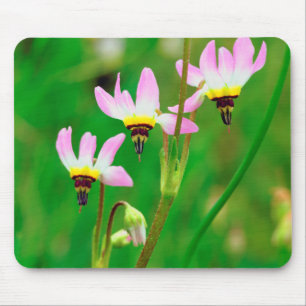 Tapis De Souris Fleurs sauvages Shooting Star dans le parc Mission