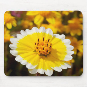 Tapis De Souris Fleurs sauvages Tidy Tip