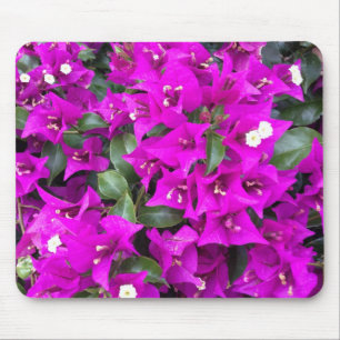 Tapis De Souris Fleurs vibrantes de bougainvillée violette