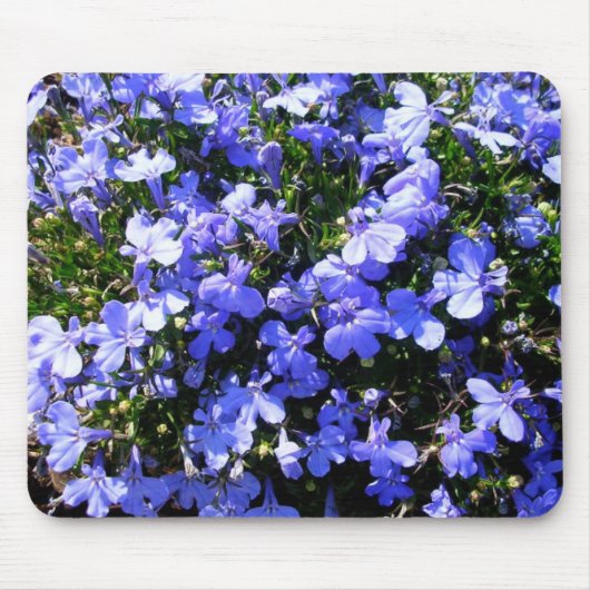 Tapis De Souris Fleurs violettes (Devant)