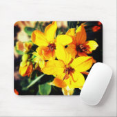 Tapis De Souris Fleurs vives (Avec souris)