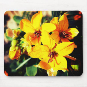 Tapis De Souris Fleurs vives