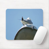 Tapis De Souris Flickr DSC08615 (Avec souris)